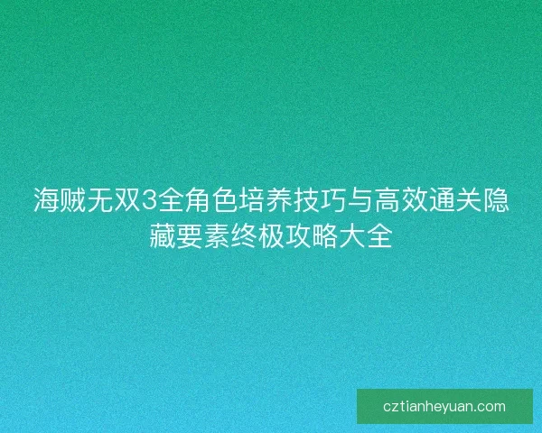 海贼无双3全角色培养技巧与高效通关隐藏要素终极攻略大全